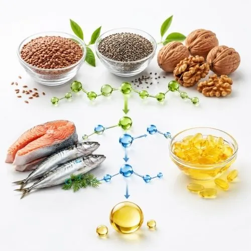 Is eicosapentaenoic acid an essential fatty acid